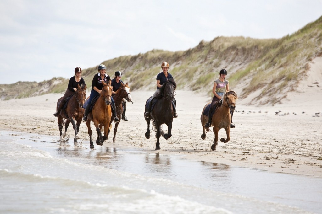 Reddingsbrigade-wijk-aan-zee-paardrijden
